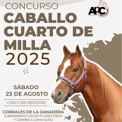 feria ganadera 2025 5
